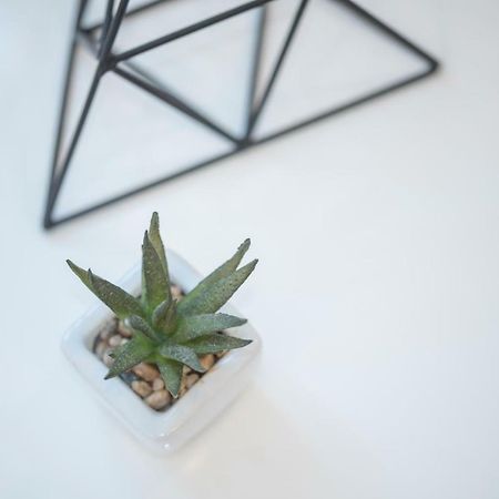 "D&M" Studio Apartments Zagreb Eksteriør bilde